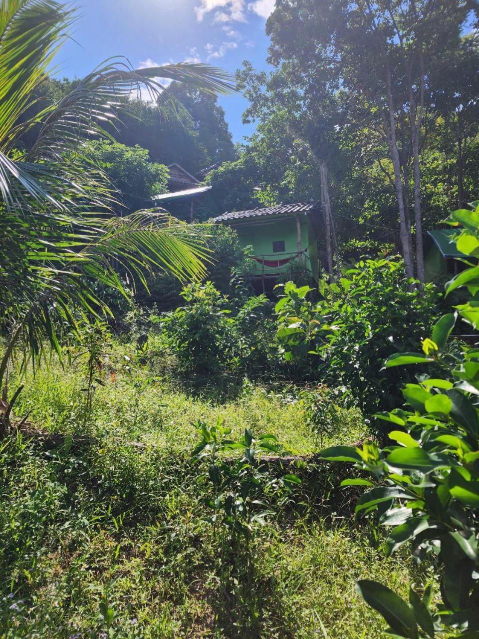 Sweet Jungle Camping Kaoh Touch Eksteriør billede